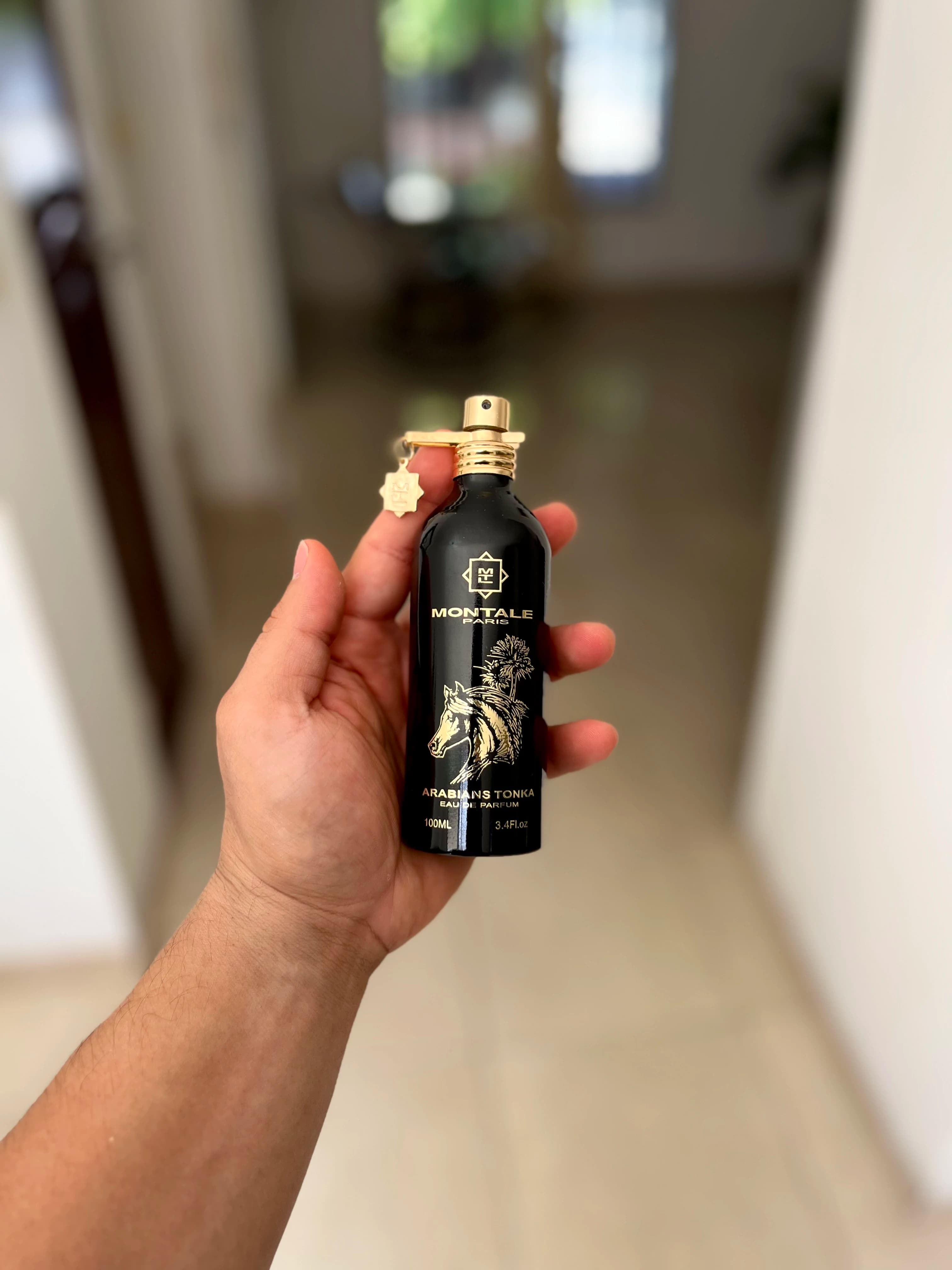 Arabians Tonka - Montale