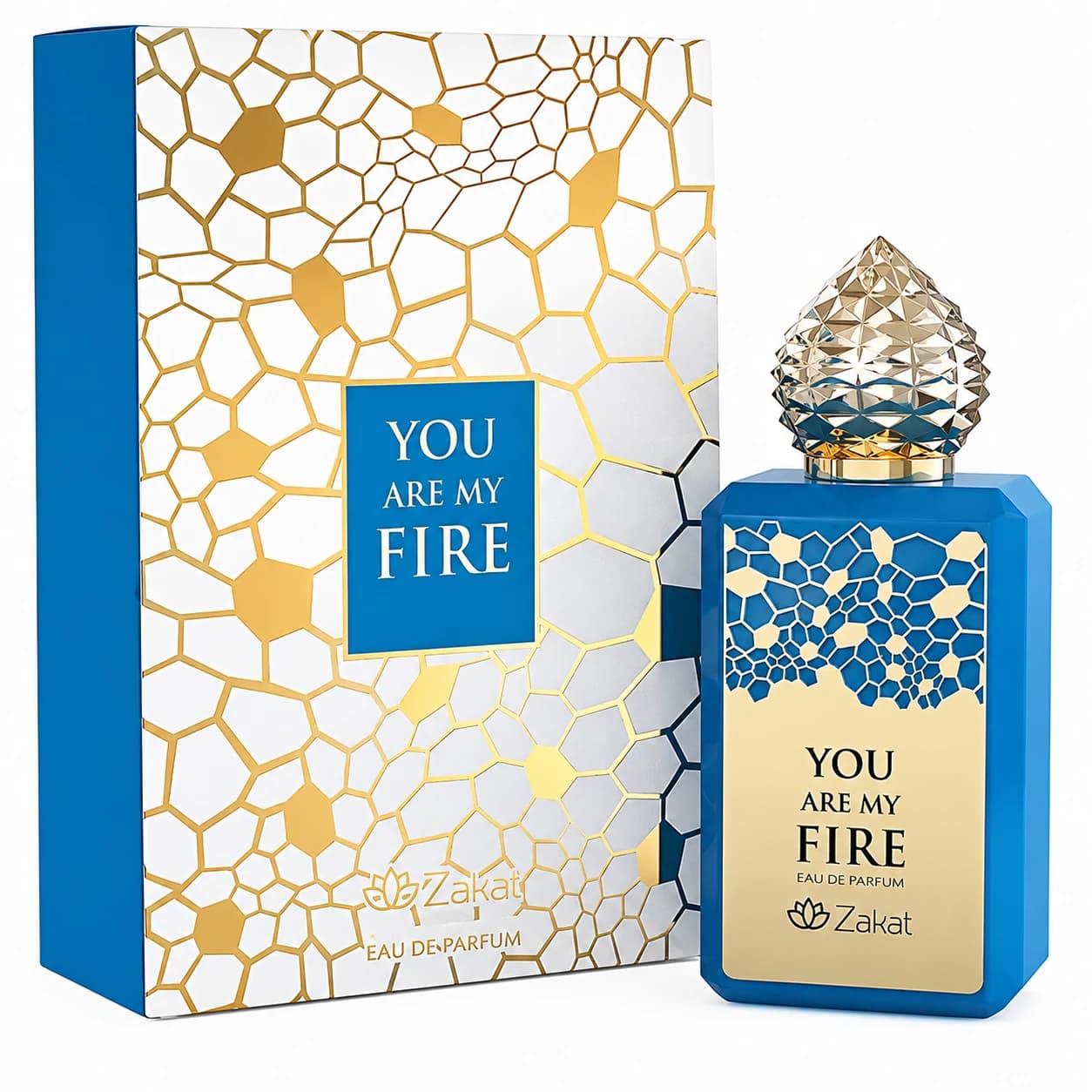 You Are My Fire